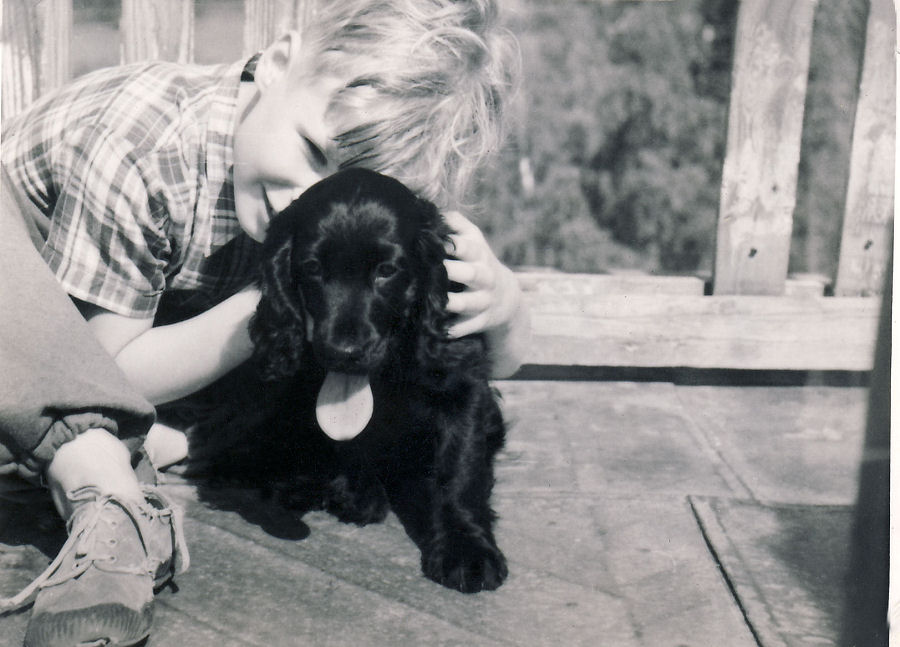 Suopelto 1950-luvulla