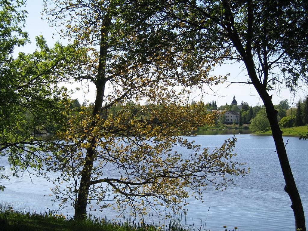 IMG_8578.JPG