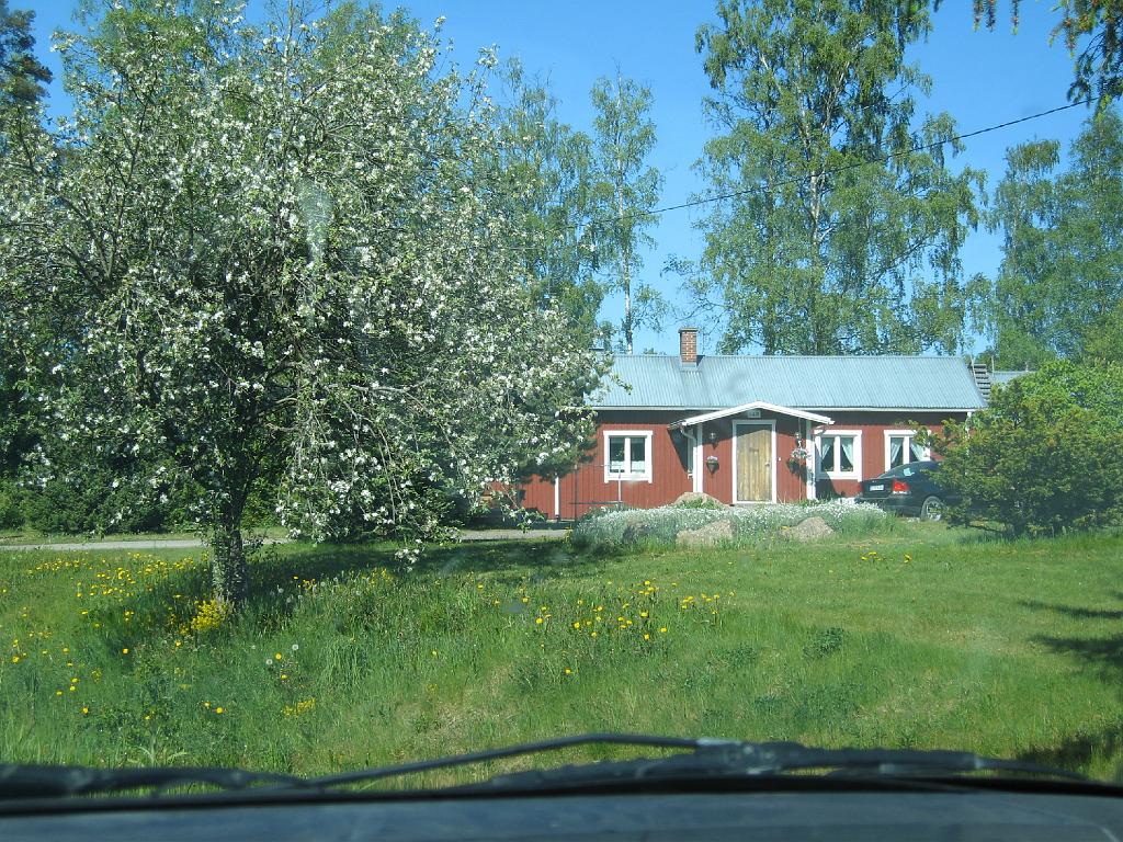 IMG_8586_1.JPG
