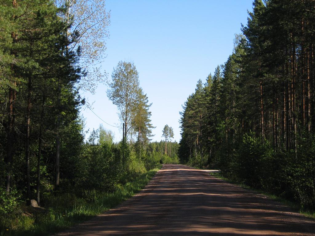 IMG_8603.JPG