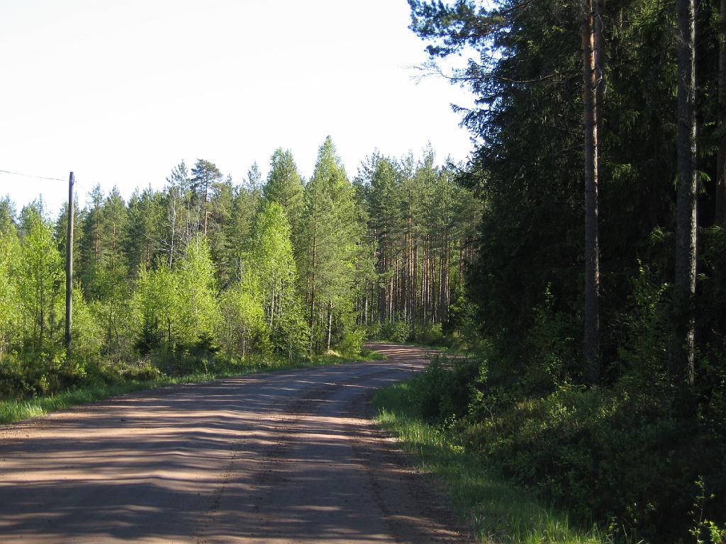 IMG_8604.JPG