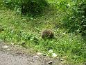 IMG_2580